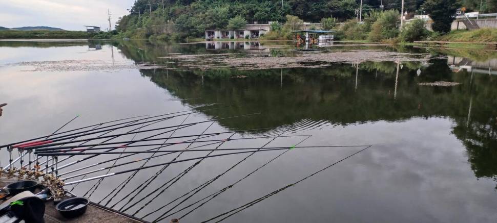 추석명절 잘보내세요 (유료터정보 - 유료터점주조황)