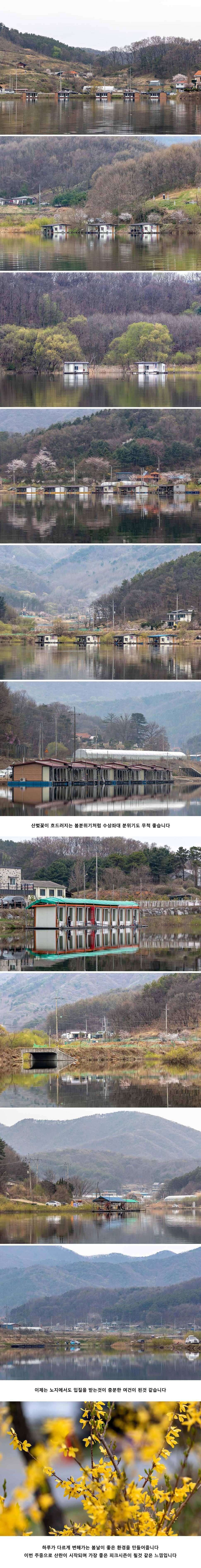 안성 두메낚시터 4월 14일 조황정보 (유료터정보 - 유료터점주조황)