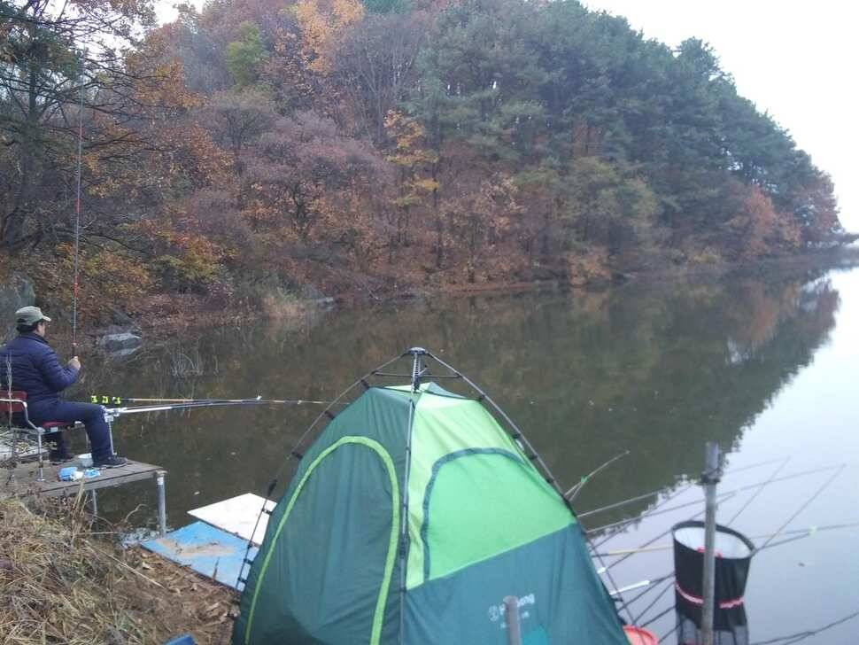 수곡낚시터 수상좌대 할인 행사 실시 자연산 토종붕어 방류 및 조황 안내 (유료터정보 - 유료터점주조황)