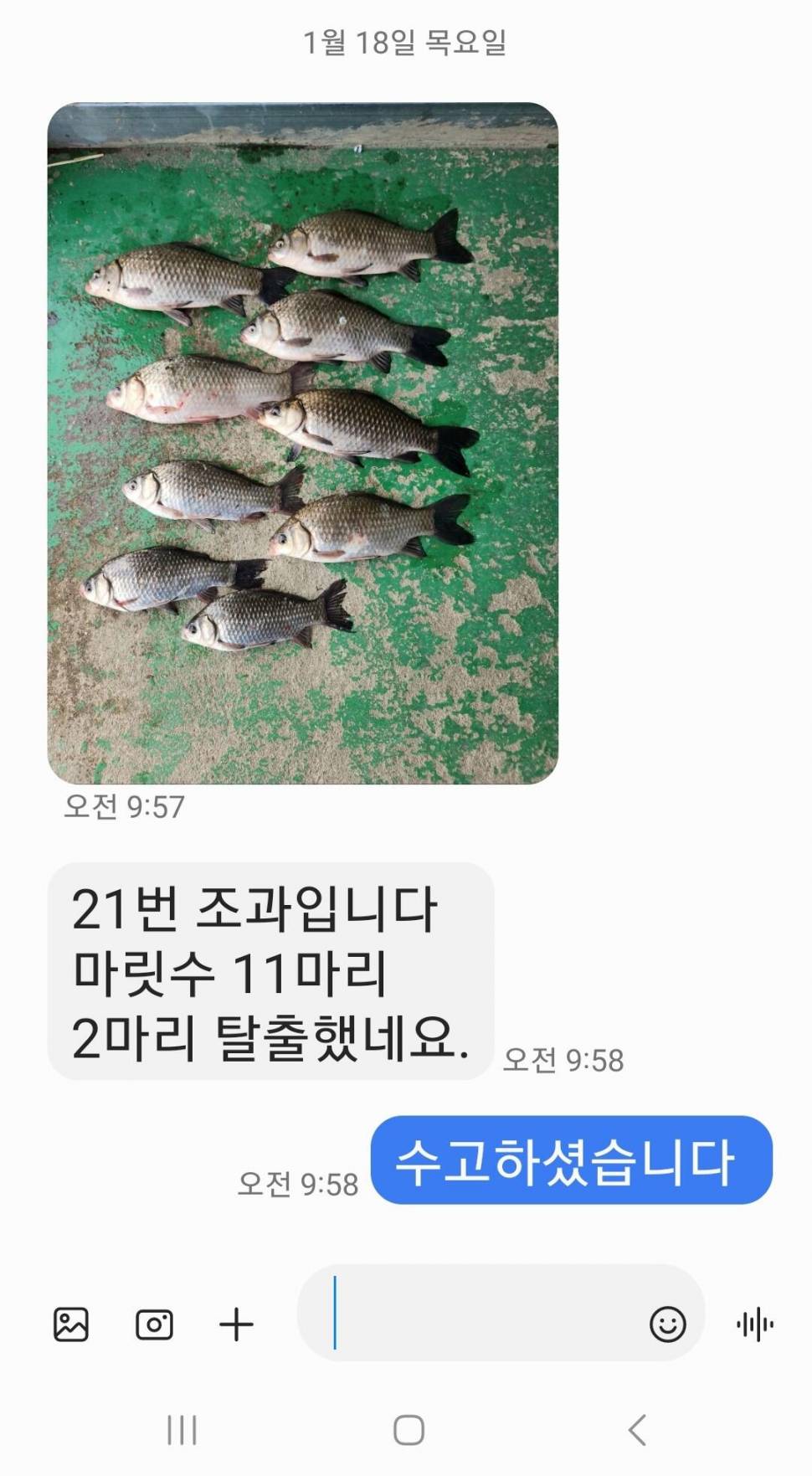 2024년 01월 셋째주 조황정보 용담낚시터사암지 (유료터정보 - 유료터점주조황)