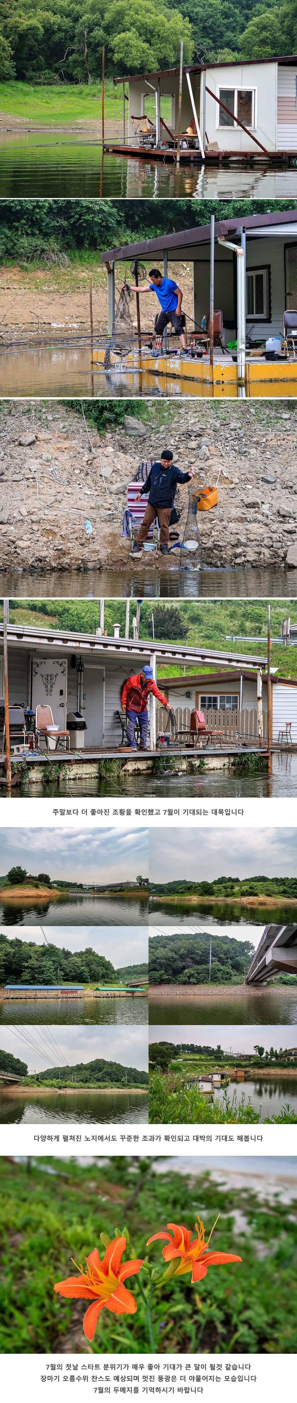 안성 두메낚시터 7월 1일 조황정보 (유료터정보 - 유료터점주조황)