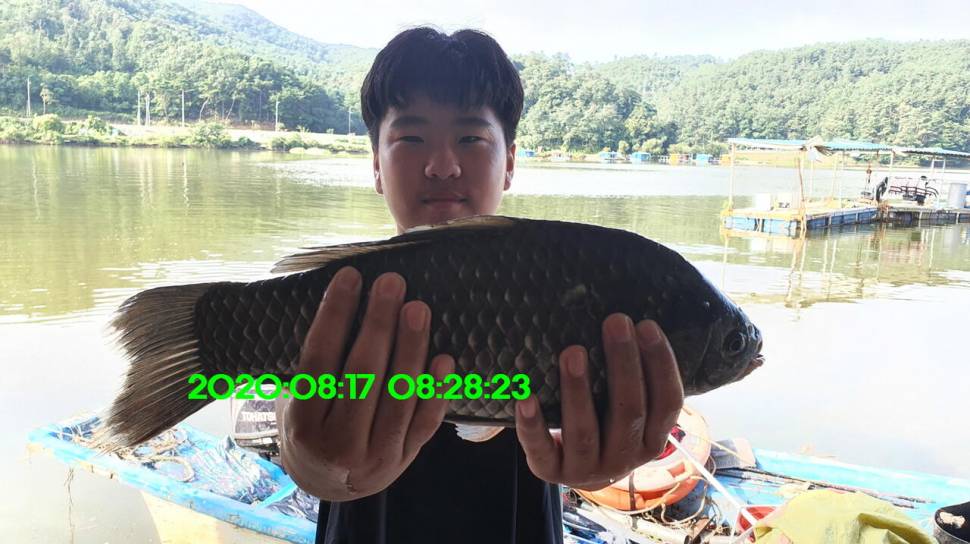 신원낚시터 8월27일 토종붕어 45짜리와 덩어리들 사진입니다 (유료터정보 - 유료터점주조황)