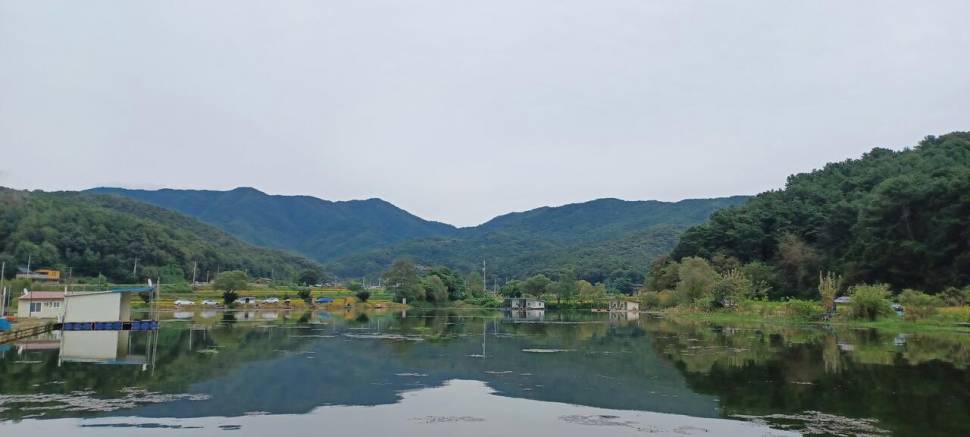 추석명절 잘보내세요 (유료터정보 - 유료터점주조황)