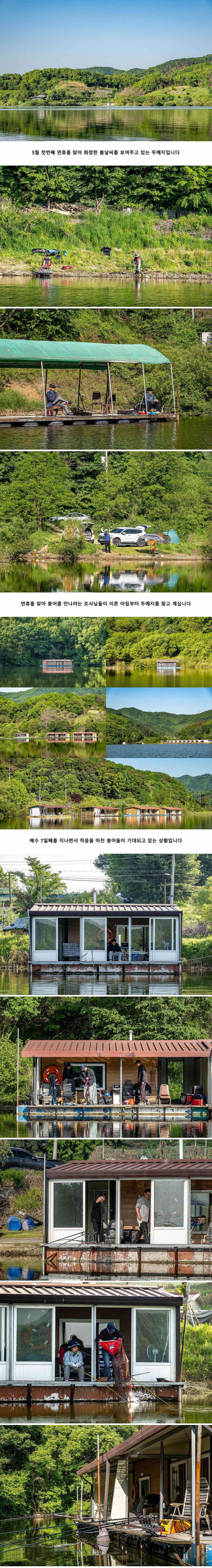안성 두메낚시터 5월 4일 조황정보 (유료터정보 - 유료터점주조황)
