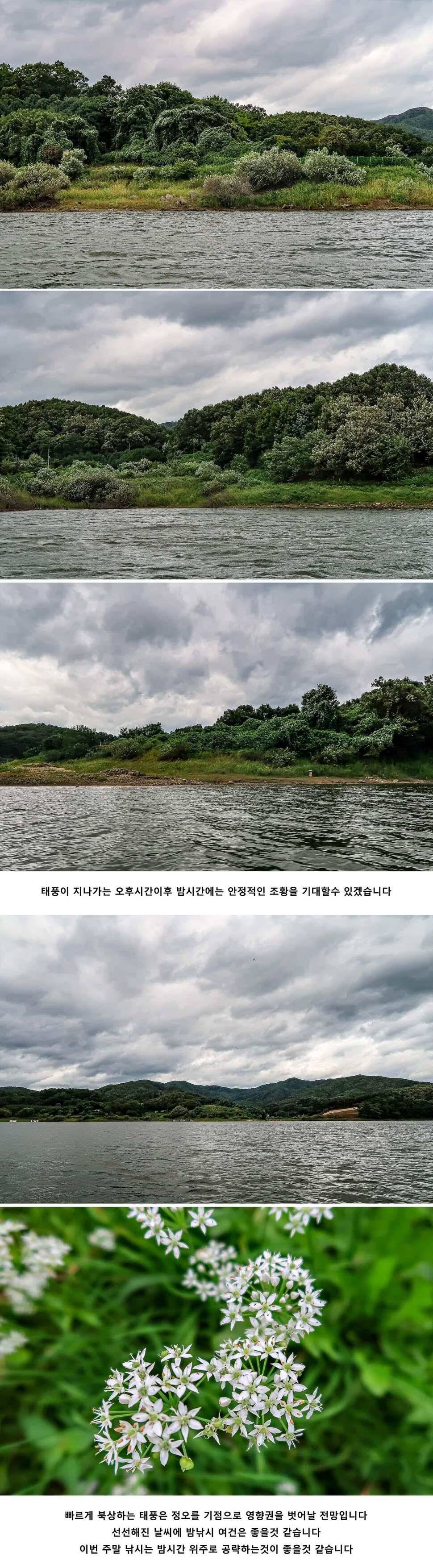 안성 두메낚시터 9월 7일 조황정보 (유료터정보 - 유료터점주조황)