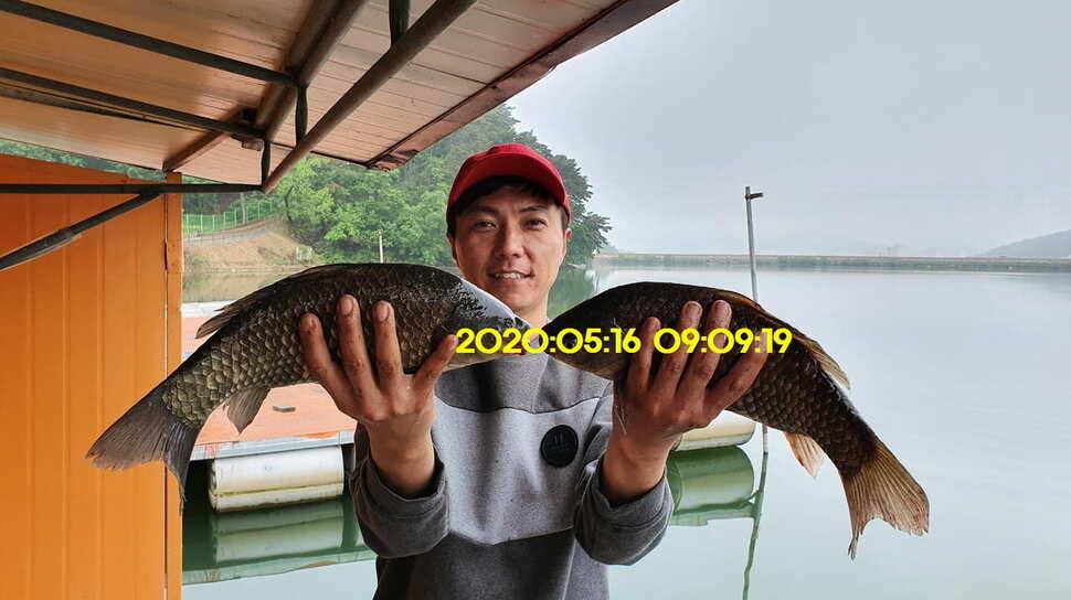 신원낚시터 6월2일토종대물 445짜리와 덩어리들 사진입니다 (유료터정보 - 유료터점주조황)