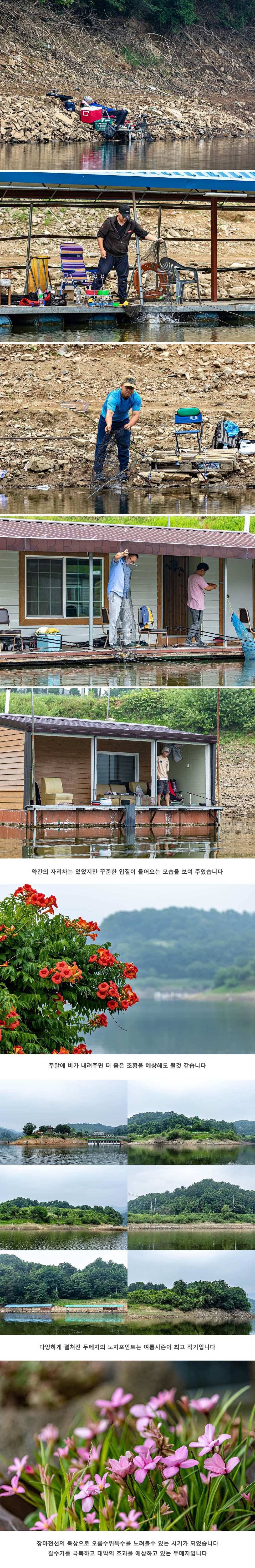 안성 두메낚시터 6월 28일 조황정보 (유료터정보 - 유료터점주조황)