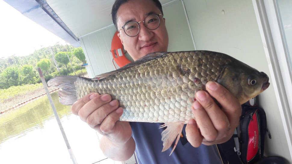 송전지 창신집 조황정보 (유료터정보 - 유료터점주조황)