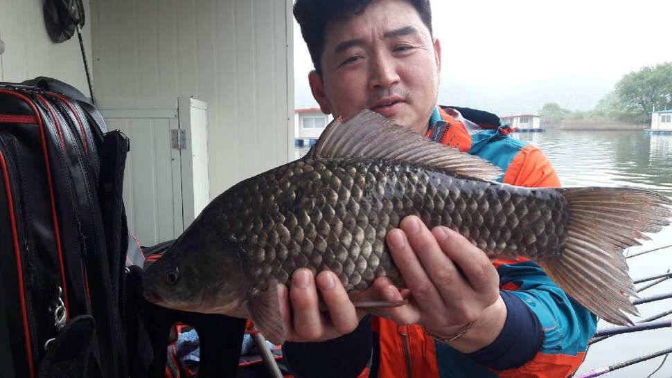 송전지 창신좌대 조황 (유료터정보 - 유료터점주조황)