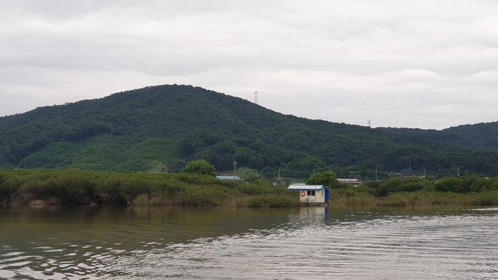 고삼지 오름수위에 산란중입니다 (유료터정보 - 유료터점주조황)
