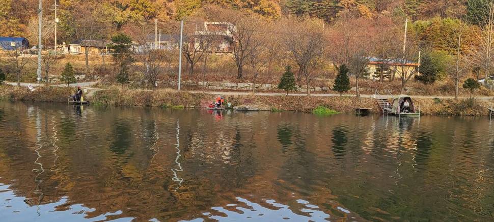 11월의 첫주말 양평 힐링 수곡낚시터 조황 붕어 방류 (유료터정보 - 유료터점주조황)