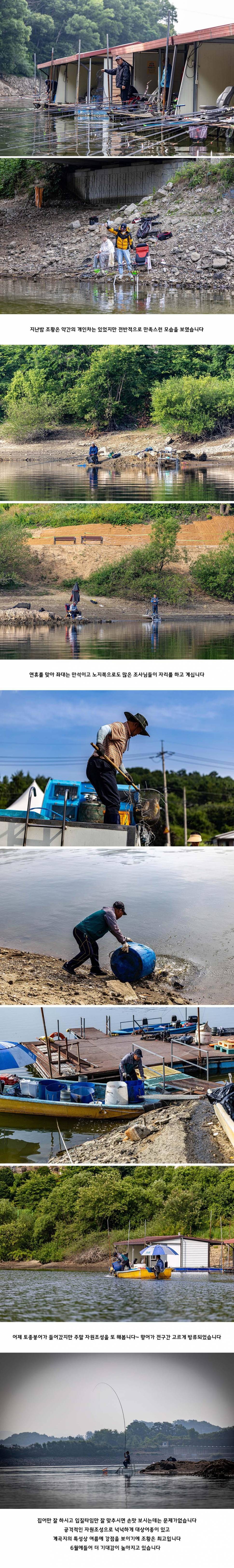 안성 두메낚시터 6월 7일 조황정보 (유료터정보 - 유료터점주조황)