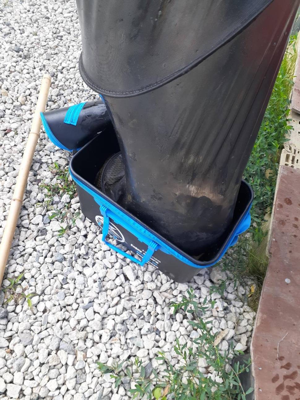 경주 동산낚시터붕어 전용잡이터 지난주 조황 (유료터정보 - 유료터점주조황)