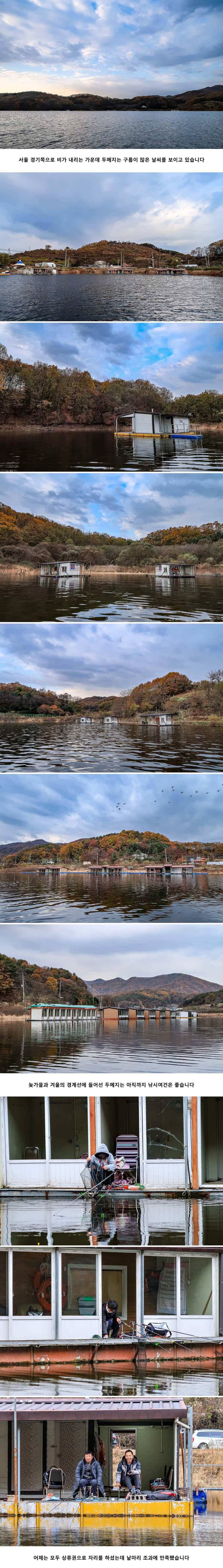 안성 두메낚시터 11월 15일 조황정보 (유료터정보 - 유료터점주조황)