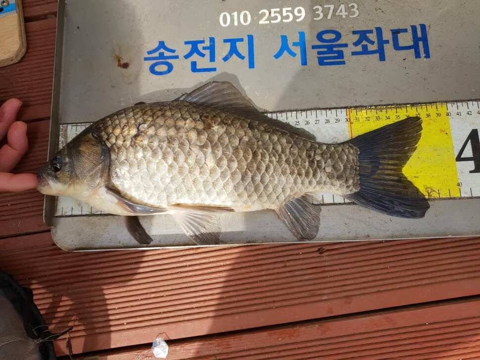 송전지서울집좌대5월13일조황 (유료터정보 - 유료터점주조황)
