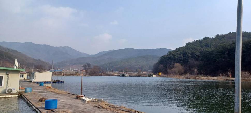 어우실지 아직은 마릿수 입니다 (유료터정보 - 유료터점주조황)