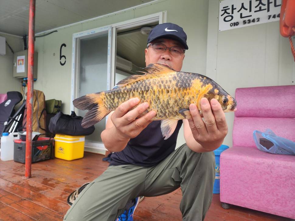 송전지 창신좌대 조황정보 (유료터정보 - 유료터점주조황)