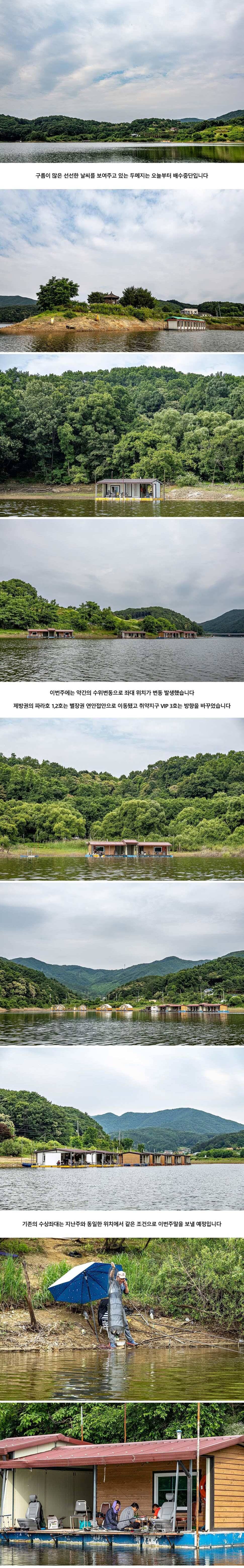 안성 두메낚시터 6월 19일 조황정보 (유료터정보 - 유료터점주조황)