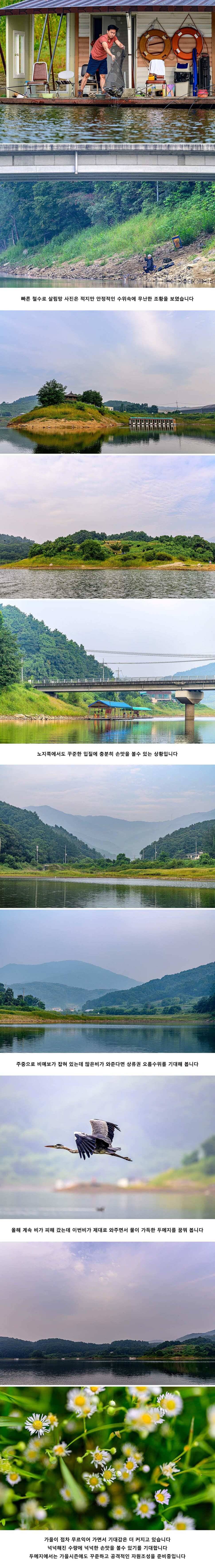 안성 두메낚시터 9월 2일 조황정보 (유료터정보 - 유료터점주조황)