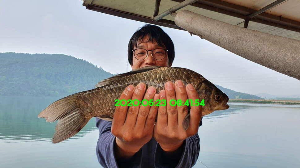 신원낚시터 6월2일토종대물 445짜리와 덩어리들 사진입니다 (유료터정보 - 유료터점주조황)