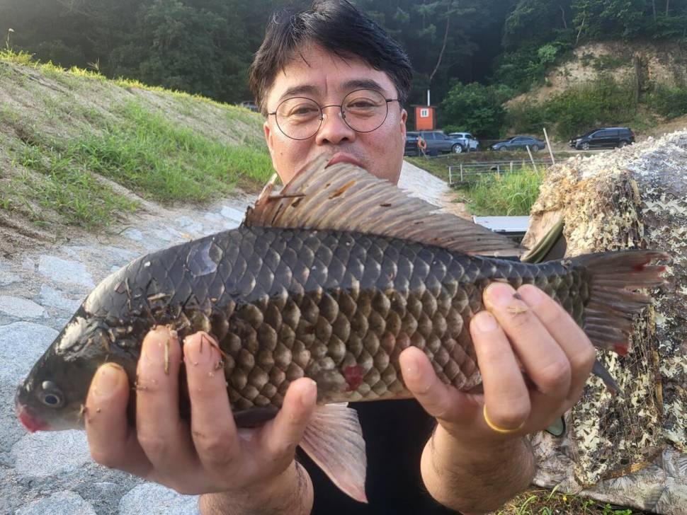 용담대물낚시터 (유료터정보 - 유료터점주조황)