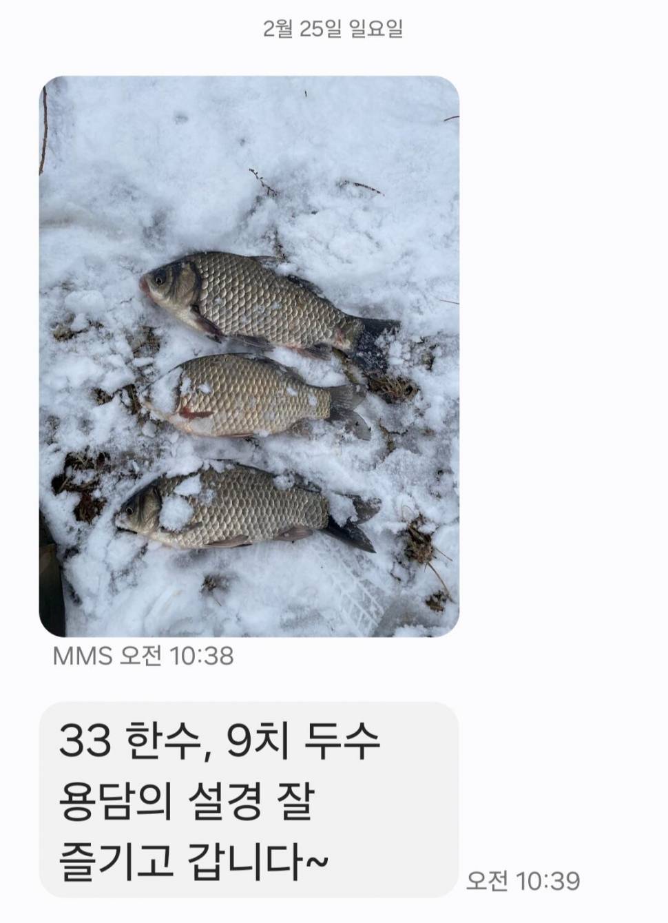 2024년 02월 마지막주 조황정보 4짜 연속 대행진중 (유료터정보 - 유료터점주조황)