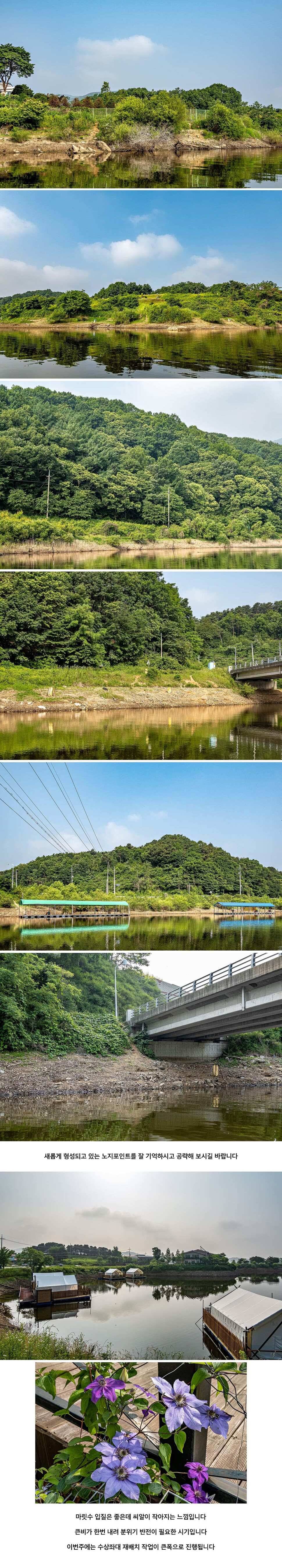 안성 두메낚시터 6월 8일 조황정보 (유료터정보 - 유료터점주조황)