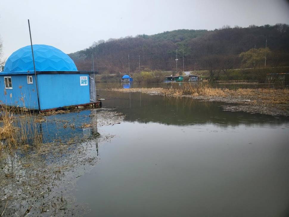 당진 가교리 낚시터 4월 2일 조황입니다 (유료터정보 - 유료터점주조황)