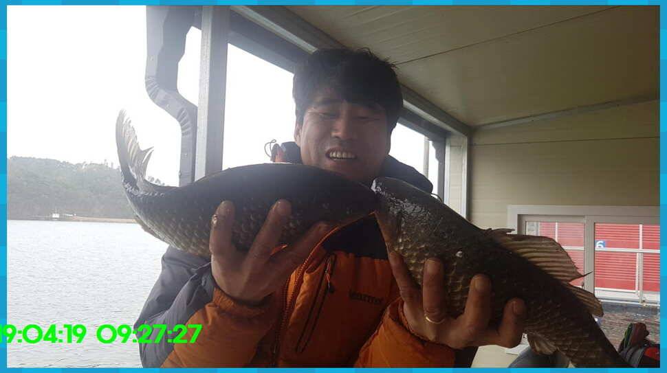 신원낚시터 올해 첫 토종대물 45짜리 소식입니다 (유료터정보 - 유료터점주조황)