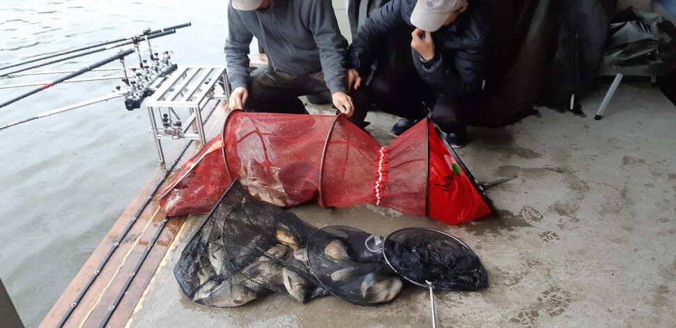 힐링 수곡낚시터 주말금요일 큰편차없이 고른 조황이 나옵니다 (유료터정보 - 유료터점주조황)