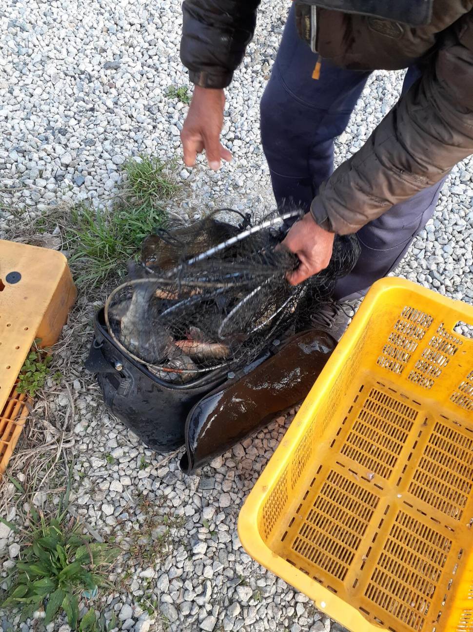 경주 동산낚시터붕어 전용잡이터지난주 조황 (유료터정보 - 유료터점주조황)