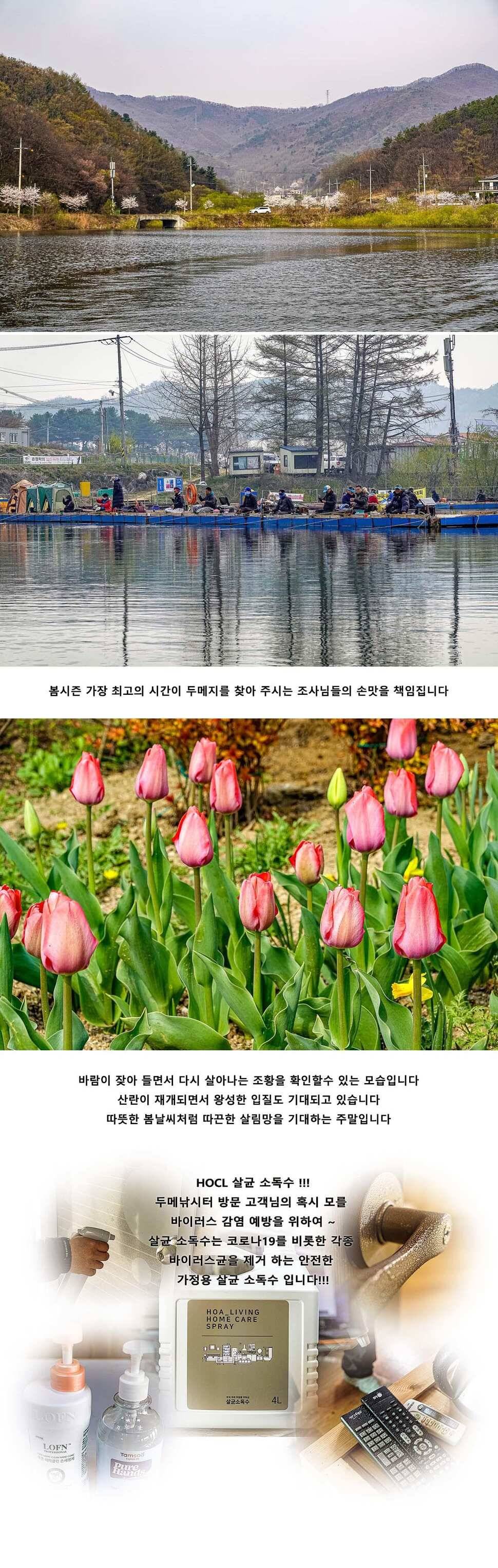 안성 두메낚시터 4월 11일 조황정보 (유료터정보 - 유료터점주조황)