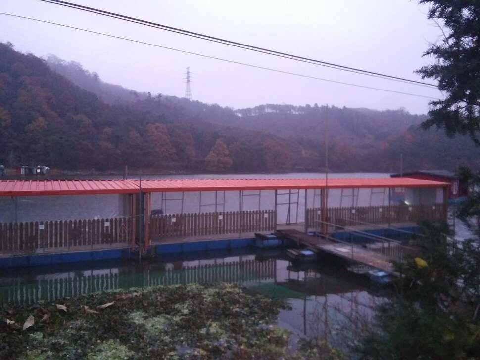 양평 수곡낚시터 자연산 4짜붕어 포함 대량 방류 및 노지 잔교 천막설치 완료하였습니다 (유료터정보 - 유료터점주조황)