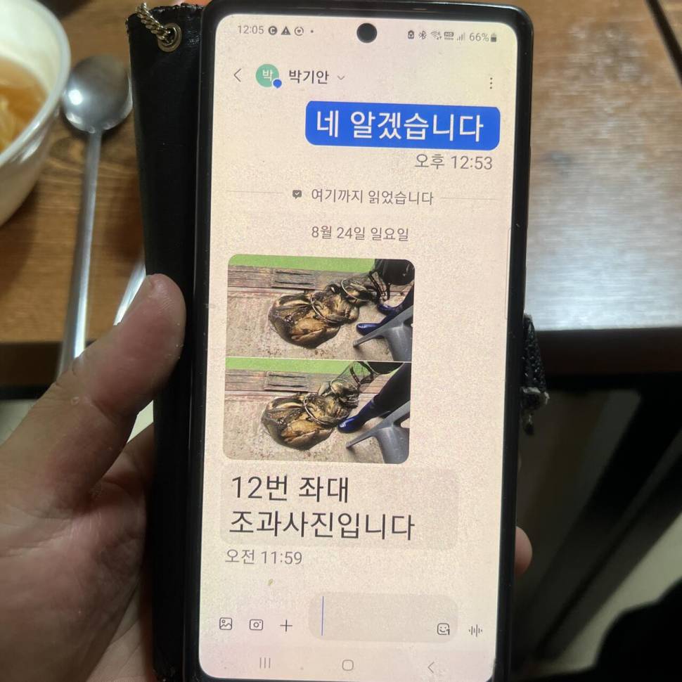 조황입니다 (유료터정보 - 유료터점주조황)