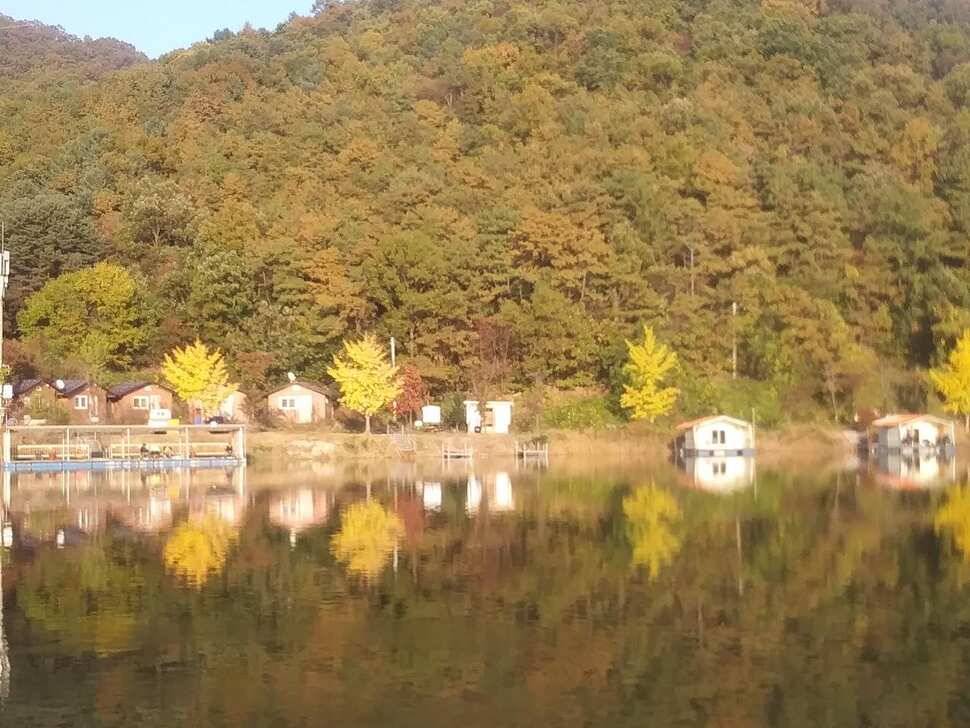 수곡낚시터 붕어조과 고르고 꾸준한 조황으로 잘 나와줍니다 금일 붕어 방류 완료 (유료터정보 - 유료터점주조황)