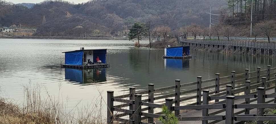 공주 고성낚시터 입니다 (유료터정보 - 유료터점주조황)