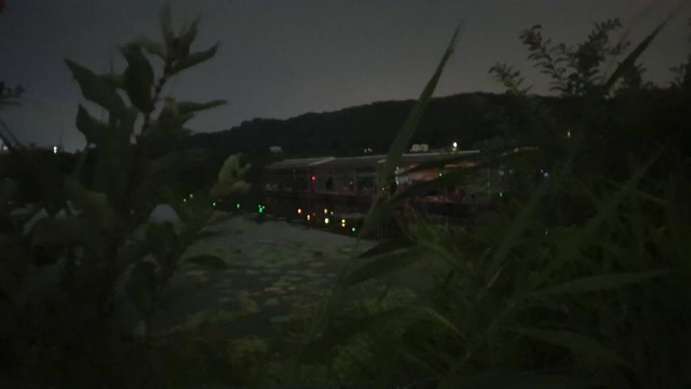아산 명품 월랑낚시터 7월 마지막 조황이야기입니다 (유료터정보 - 유료터점주조황)