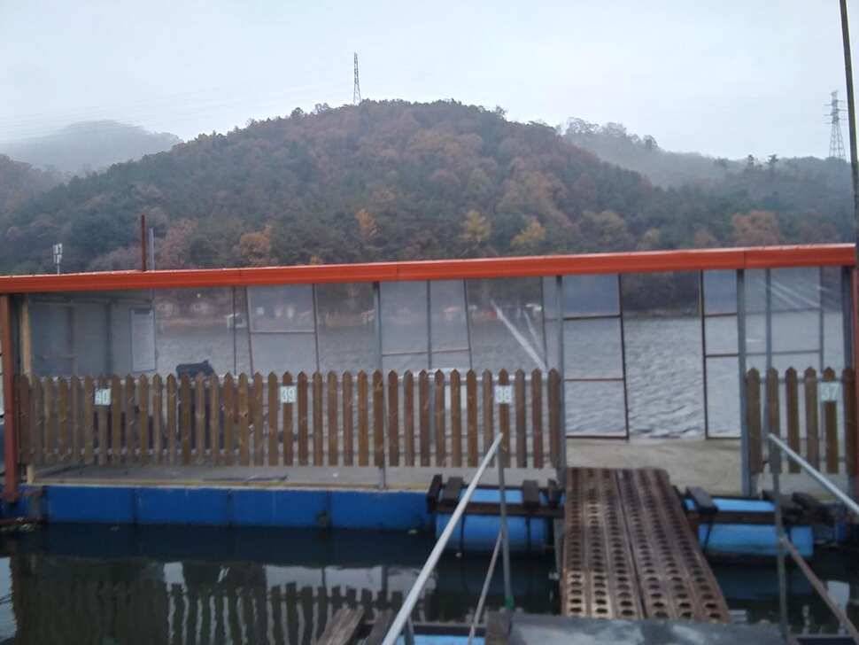 양평 수곡낚시터 자연산 4짜붕어 포함 대량 방류 및 노지 잔교 천막설치 완료하였습니다 (유료터정보 - 유료터점주조황)