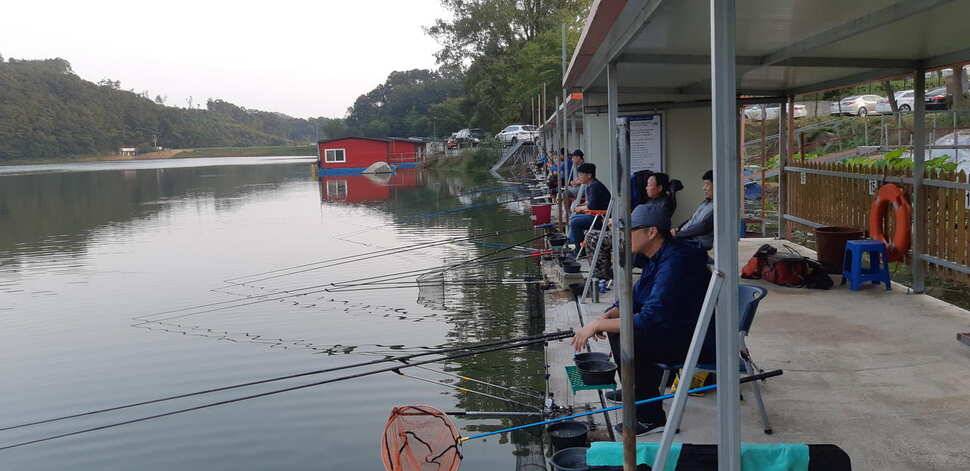 붕어낚시 양평 수곡낚시터 일요일 조황도 토요일과 비슷한 조황이었습니다 (유료터정보 - 유료터점주조황)