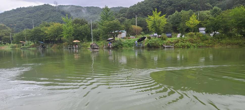 피서 여름낚시 양평 수곡낚시터 주말 조황 소식 (유료터정보 - 유료터점주조황)