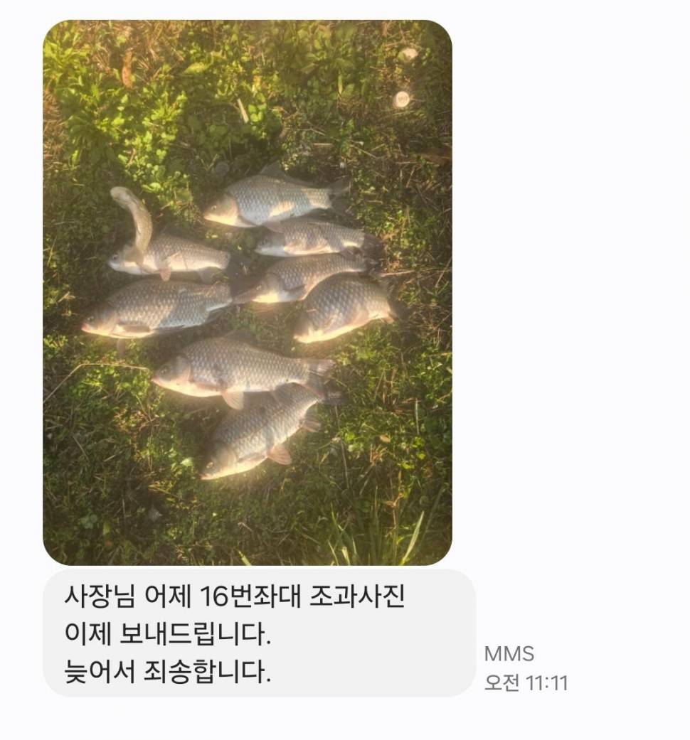 2024년 10월 마지막주 조황정보 용담낚시터사암지사짜 2마리 (유료터정보 - 유료터점주조황)