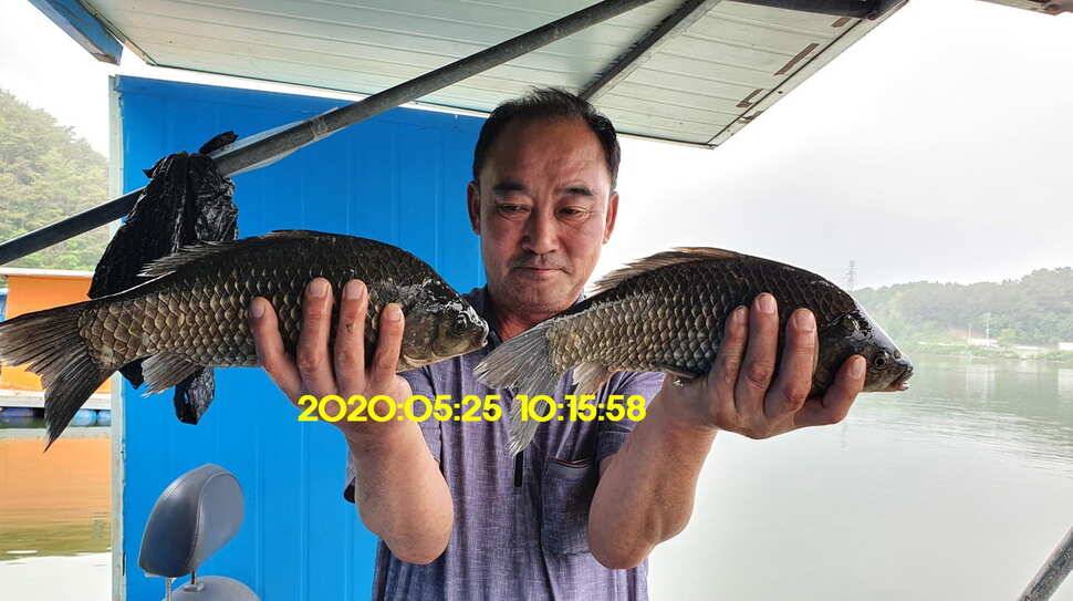 신원낚시터 6월2일토종대물 445짜리와 덩어리들 사진입니다 (유료터정보 - 유료터점주조황)