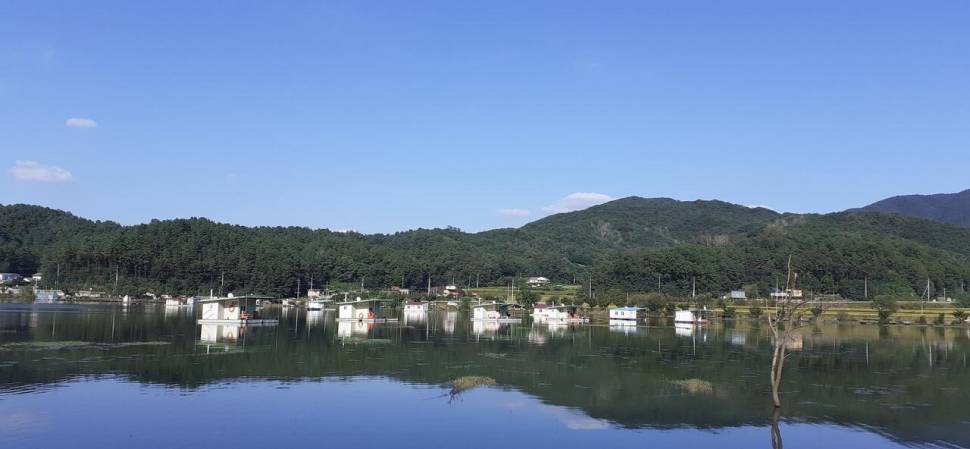 기온차가 심해요 (유료터정보 - 유료터점주조황)
