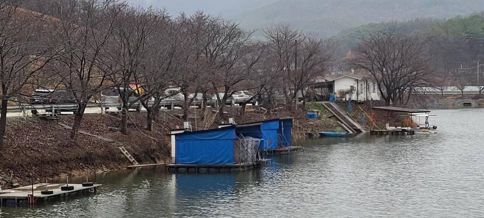 공주 고성낚시터 입니다 (유료터정보 - 유료터점주조황)