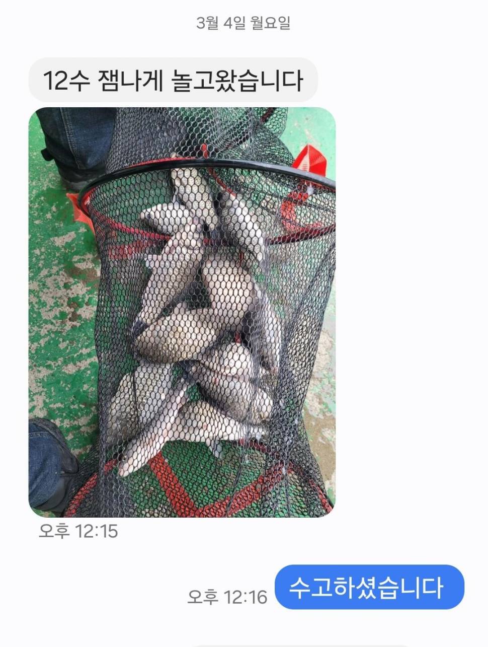 2024년 03월 첫째주 조황정보 붕어방류 (유료터정보 - 유료터점주조황)