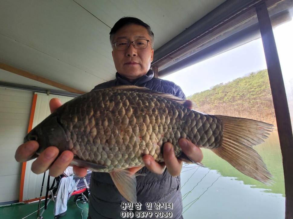 이어지는 대물들의 행진용인삼인낚시터 (유료터정보 - 유료터점주조황)