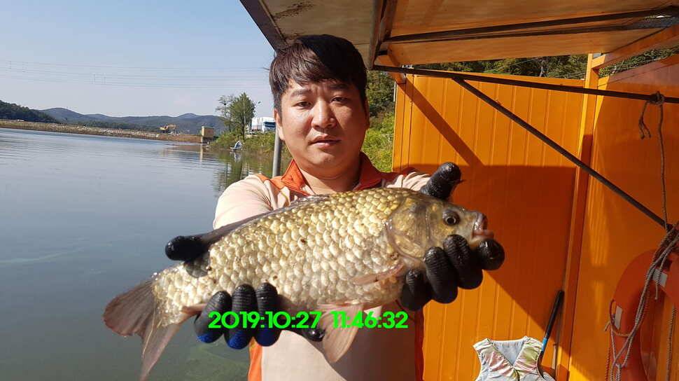 신원낚시터 10월29일 또다시 토종 49센티가 등장 했습니다 (유료터정보 - 유료터점주조황)