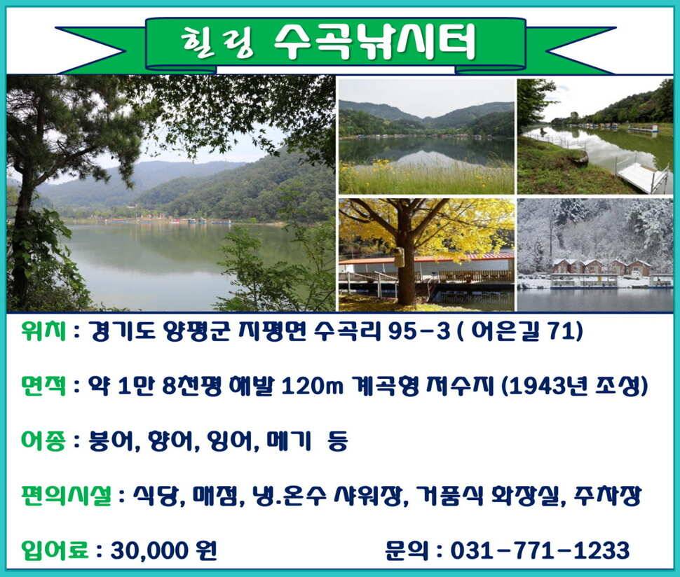붕어낚시 양평 수곡 낚시터 일요일도 붕어낚시 조황 꾸준합니다 (유료터정보 - 유료터점주조황)