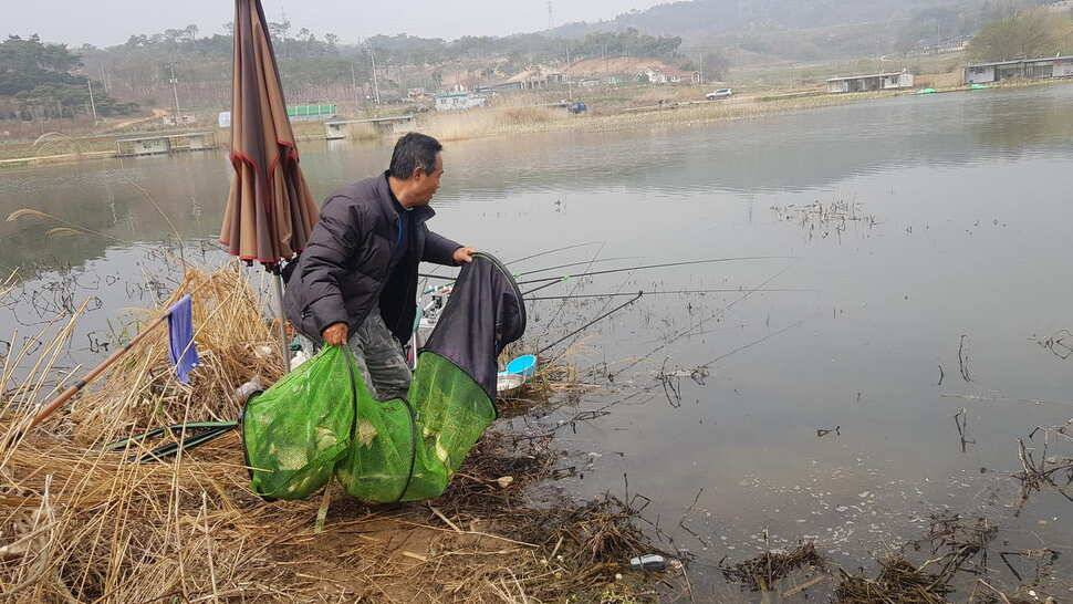 가교리낚시터 4월 19일 조황 (유료터정보 - 유료터점주조황)