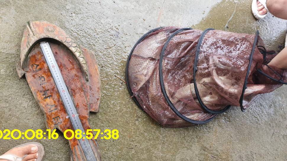 신원낚시터 8월16일 토종붕어 4짜와 덩어리 사진입니다 (유료터정보 - 유료터점주조황)